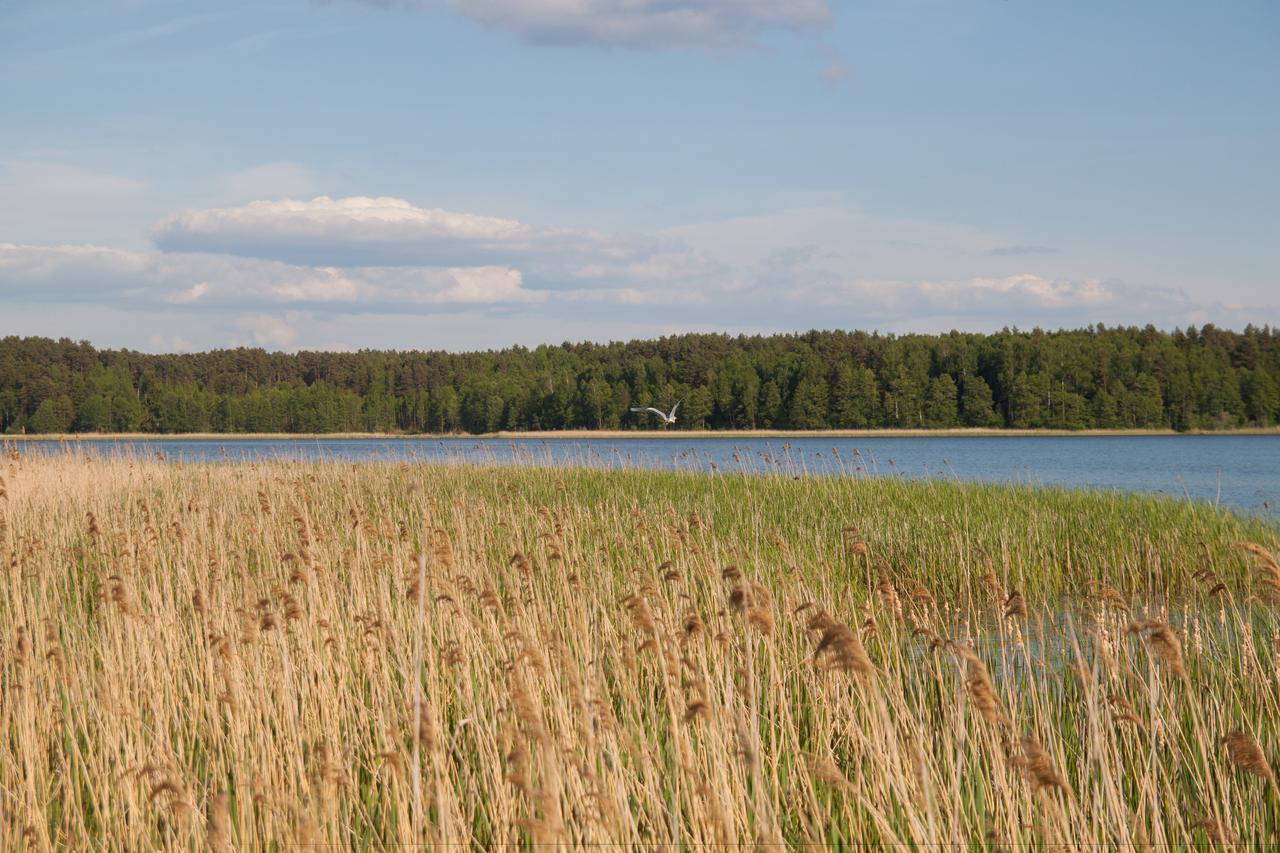 Duck Lake Βίλα Polatsk Εξωτερικό φωτογραφία